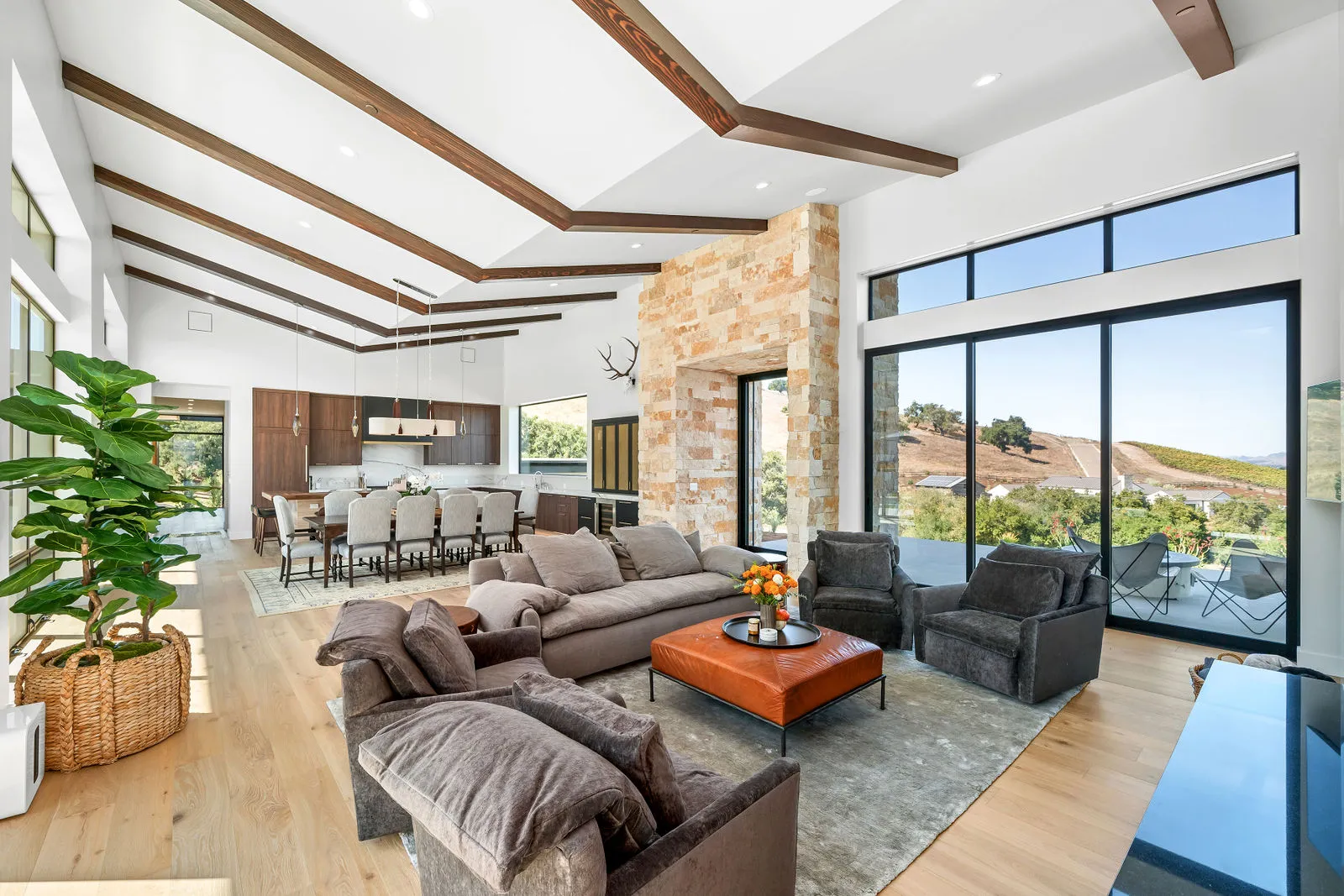 Silva project background